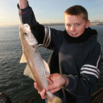 fishing-shore-roker-pier-0009