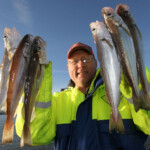 fishing-shore-roker-pier-0015