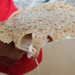 culdaff turbot