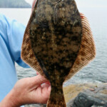 fishing-shore-western-isles-valtos-0005