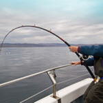 fishing-skate-oban-0002
