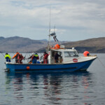 fishing-skate-oban-0004