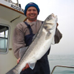 fishing-species-spotlight-bass-0004