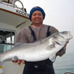 fishing-species-spotlight-bass-0008