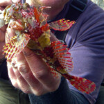 fishing-alderney-species-mission-february-0002