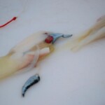 fishing-bait-black-squid-0001