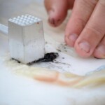 fishing-bait-black-squid-0002