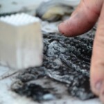 fishing-bait-black-squid-0004