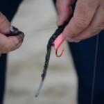 fishing-bait-black-squid-0005