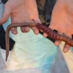 fishing-bait-bloodworm-squid-teaser-0006