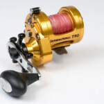 fishing-beginners-multiplier-reel-0020