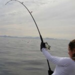 fishing-beginners-rod-types-0009