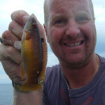 fishing-boat-alderney-species-four-0006