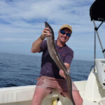 fishing-boat-alderney-species-four-0008