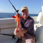 fishing-boat-alderney-species-four-0009