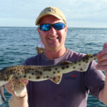 fishing-boat-alderney-species-four-0011