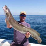 fishing-boat-alderney-species-four-0014