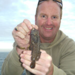 fishing-boat-alderney-species-four-0017