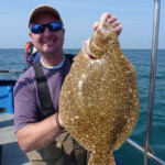 fishing-boat-alderney-species-turbot-0003