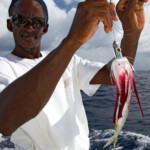 fishing-boat-antigua-20110006