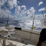 fishing-boat-antigua-20110007