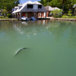 fishing-boat-antigua-20110025