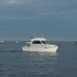 fishing-boat-baitbox-humber-cod-2012-0002