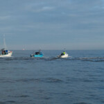 fishing-boat-baitbox-humber-cod-2012-0003