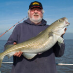 fishing-boat-baitbox-humber-cod-2012-0011