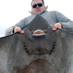 fishing-boat-crinan-skate-0003