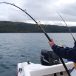 fishing-boat-crinan-skate-0006