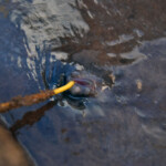 fishing-boat-crinan-skate-0008
