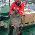 fishing-boat-faroe-islands-vestmanna-plaice-0002a