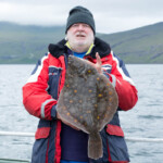 fishing-boat-faroe-islands-vestmanna-plaice-0005