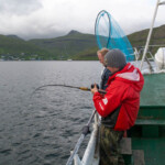fishing-boat-faroe-islands-vestmanna-plaice-0008