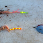 fishing-boat-faroe-islands-vestmanna-plaice-0011