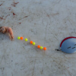 fishing-boat-faroe-islands-vestmanna-plaice-0013