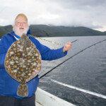 fishing-boat-faroe-islands-vestmanna-plaice-0015