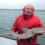 fishing-boat-holyhead-smoothhound-0002