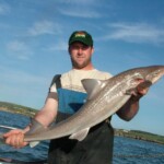 fishing-boat-holyhead-smoothhound-0005