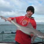 fishing-boat-holyhead-smoothhound-0006