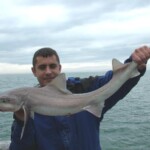 fishing-boat-holyhead-smoothhound-0010