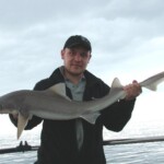 fishing-boat-holyhead-smoothhound-0011
