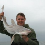 fishing-boat-holyhead-smoothhound-0015