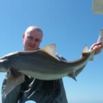 fishing-boat-holyhead-smoothhound-0016