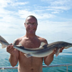 fishing-boat-holyhead-spurdog-0003