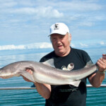 fishing-boat-holyhead-spurdog-0004