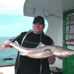 fishing-boat-holyhead-spurdog-0005