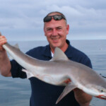 fishing-boat-ireland-kilmore-tope-0004