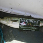 fishing-boat-manx-festival-2013-0006